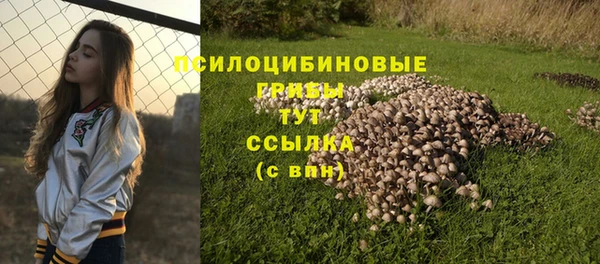 ешки Абаза