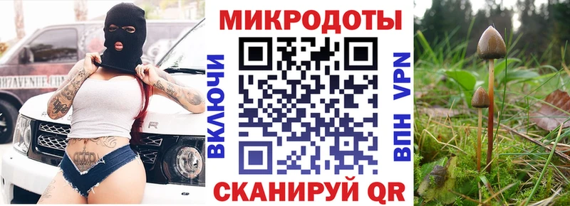 хочу   Елизово  Псилоцибиновые грибы ЛСД 